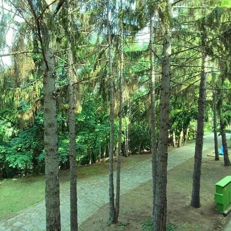 Park Hotel Briz-2